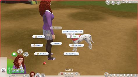 pet training skill sims 4.